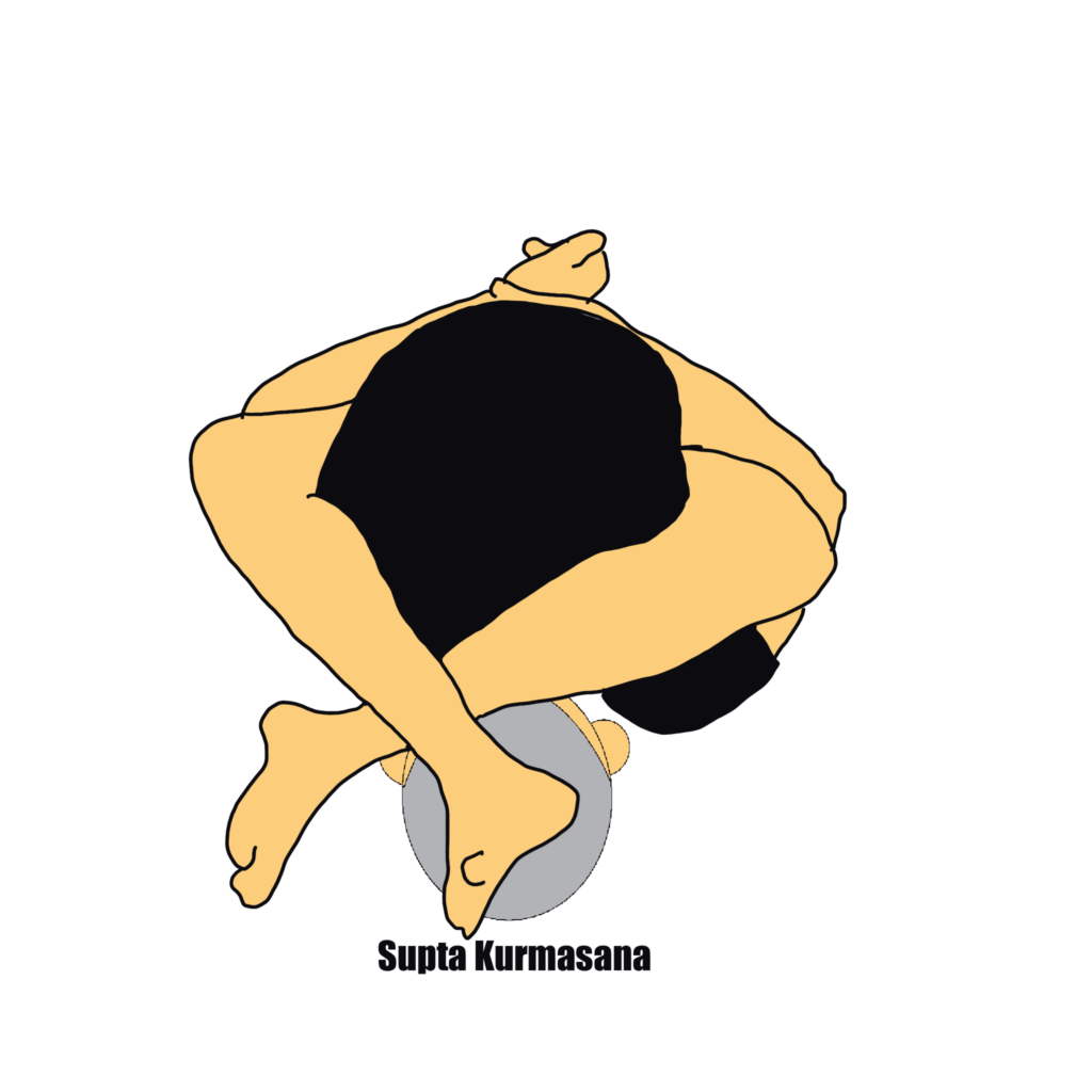 ﾌﾟﾗｲﾏﾘｰｼﾘｰｽﾞ アシュタンガ ヨガ 国分寺